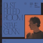 Dust Filled Room by Steve Gunn