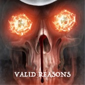 Valid Reasons artwork