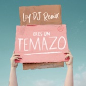 Eres un temazo (Ley DJ Remix) artwork