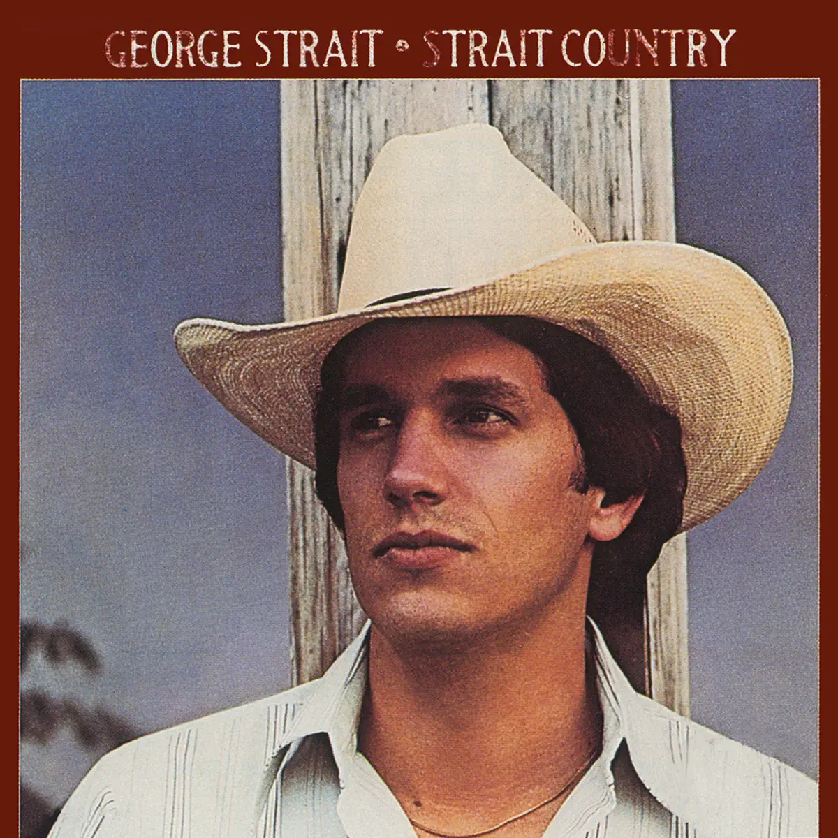 George Strait - Strait Country (1981) [iTunes Plus AAC M4A]-新房子