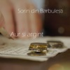 Aur si argint - Single