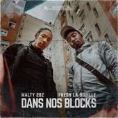 Dans Nos Blocks (feat. Fresh laDouille) artwork