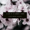 Can't Carry You - Single