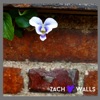 Walls - Single