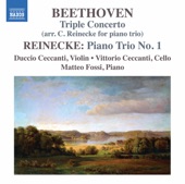 Piano Trio No. 1 in D Major, Op. 38: II. Andante artwork