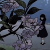 Cherry Blossoms - Single