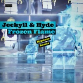 Frozen Flame (Hypnose Remix) artwork