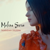 Tanrıdan Diledim artwork