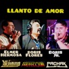 Llanto de Amor (feat. Elmer Hermosa & BORIS FLORES) - Single