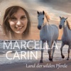 Land der wilden Pferde - Single