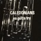 In a Mellow Tone - Caledonians lyrics