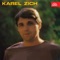 K Mikrofonu Čelem (feat. Pavel Bobek) - Karel Zich lyrics