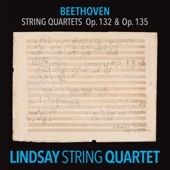 String Quartet No. 15 in A Minor, Op. 132: III. Molto Adagio. Canzona di ringraziamento offerta alla divinità da un guarito, in modo lidico artwork