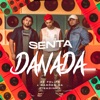 Senta Danada by Zé Felipe, Os Barões Da Pisadinha iTunes Track 1
