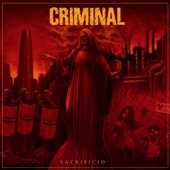 Sistema Criminal artwork