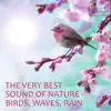 The Very Best Sound of Nature - Birds, Waves, Rain (with Forest, Creek, Wind, Thunder) [Sound for Relaxation, Meditation, Healing, Massage, Deep Sleep, Yoga] album lyrics, reviews, download