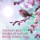 Life Sounds Nature-Wonders of Nature - Romantic Night Ambience For Sleeping, Dreaming and Meditation Life Sounds Nature-Wonders of Nature - Romantic Night Ambience For Sleeping, Dreaming and Meditation