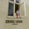 Amaro - Animali Urbani lyrics