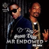 Mr Endowed (feat. Snoop Dogg) [Remix] artwork