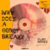 Why Does a Heart Break? (Flay! Remix) [Flay! Remix] - Single album lyrics, reviews, download