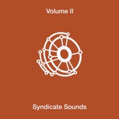 Syndicate Sounds - Posterity