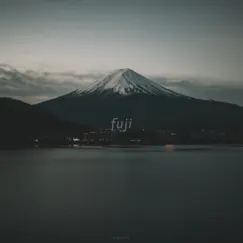 Fuji by Gloveity album reviews, ratings, credits