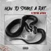 How To Snake a Rat - Single album lyrics, reviews, download