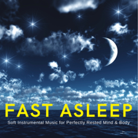 Soothing Music for Sleep Academy - Fast Asleep: Soft Instrumental Music for Perfectly Rested Mind & Body artwork