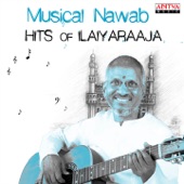 Musical Nawab: Hits of Ilaiyaraaja artwork