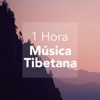 1 Hora de Música Tibetana - Sonidos para Relajarse