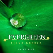 Evergreen - Piano Breeze artwork