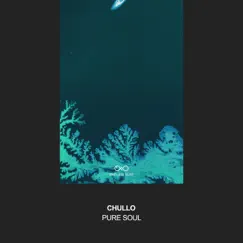 Pure Soul - Single by Chullo album reviews, ratings, credits