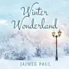 Winter Wonderland - Single (feat. Pat Coil, Jacob Jezioro & Danny Gottlieb) - Single album lyrics, reviews, download