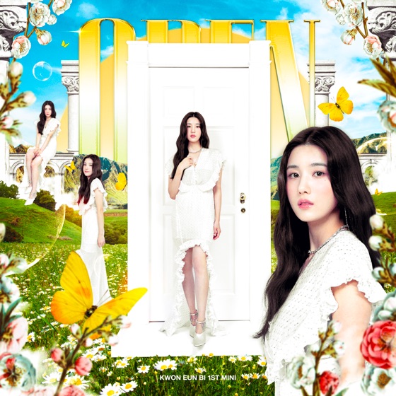 Cover artwork for Door