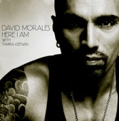 David Morales - Here I Am - Kaskade Radio Edit