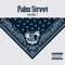 Sunny Day (feat. Seba G, Playaman & Bona Bones) - Palm 3 Records lyrics