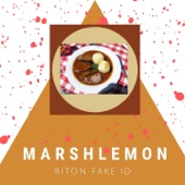 Riton Fake ID artwork