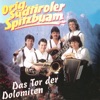 Original Südtiroler Spitzbuam - Oh, Maria