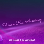 Waan Ku Aaminay artwork