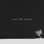 Into the Desert artwork