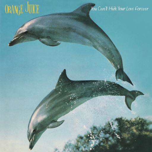 Artwork for Falling and Laughing