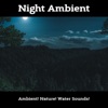 Night Ambient