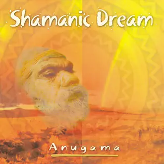 Chakra Journey by Anugama song reviws