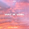 Wat ik voel (feat. Tiewai) - Single