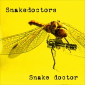 Snake Doctor artwork