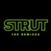Strut (Sofi Tukker Remix) artwork