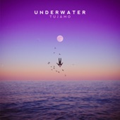 Underwater artwork