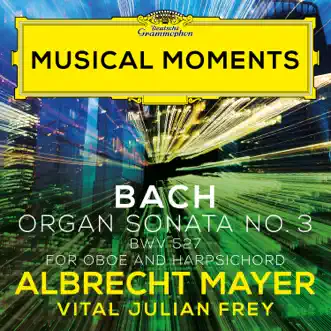 Organ Sonata No. 3 in D Minor, BWV 527 (Adapt. for Oboe and Harpsichord by Mayer and Frey): III. Vivace by Albrecht Mayer & Vital Julian Frey song reviws