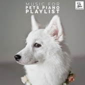 Music For Pets - Piano Playlist artwork