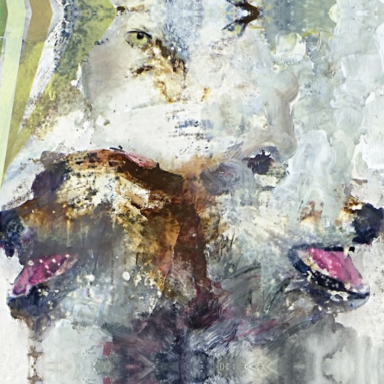 Cover artwork for Prince Squid